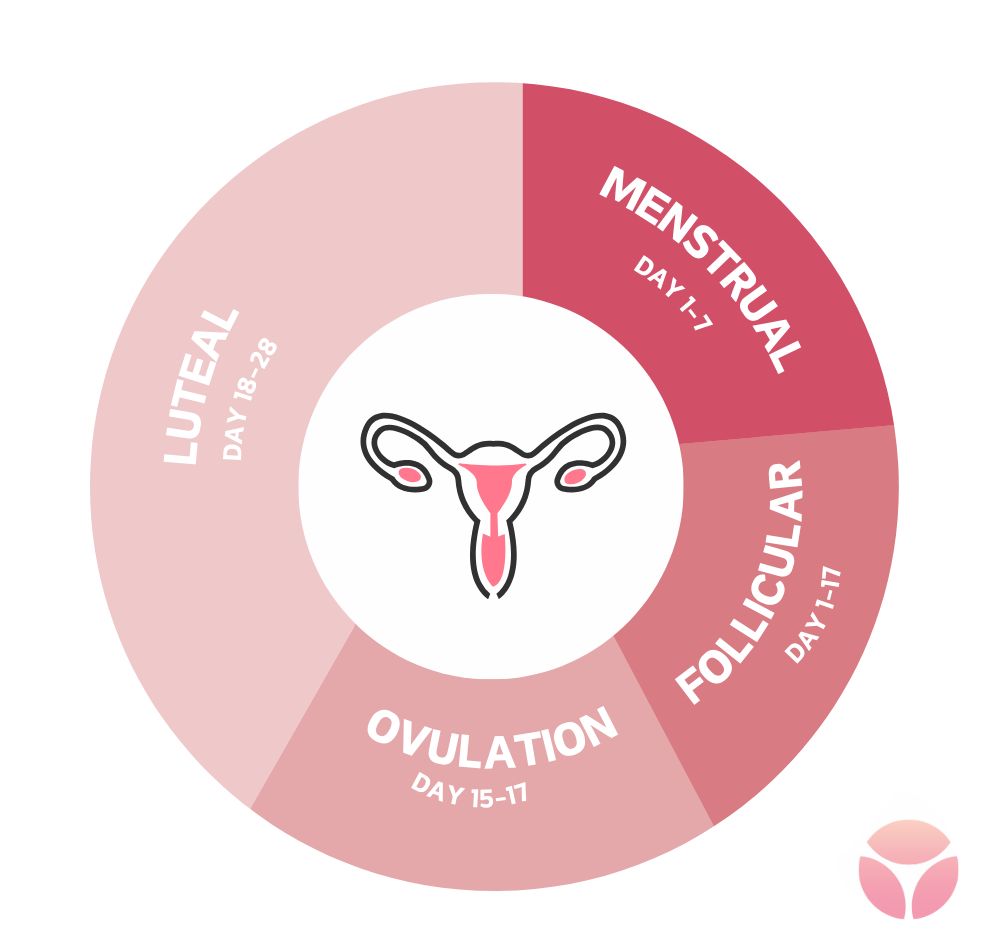 Gen Z Periods Different? Why Younger Women Report More Irregular Cycles
